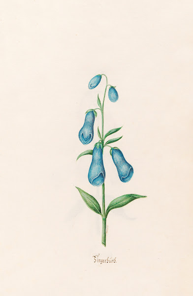 Fingerhüts 1692