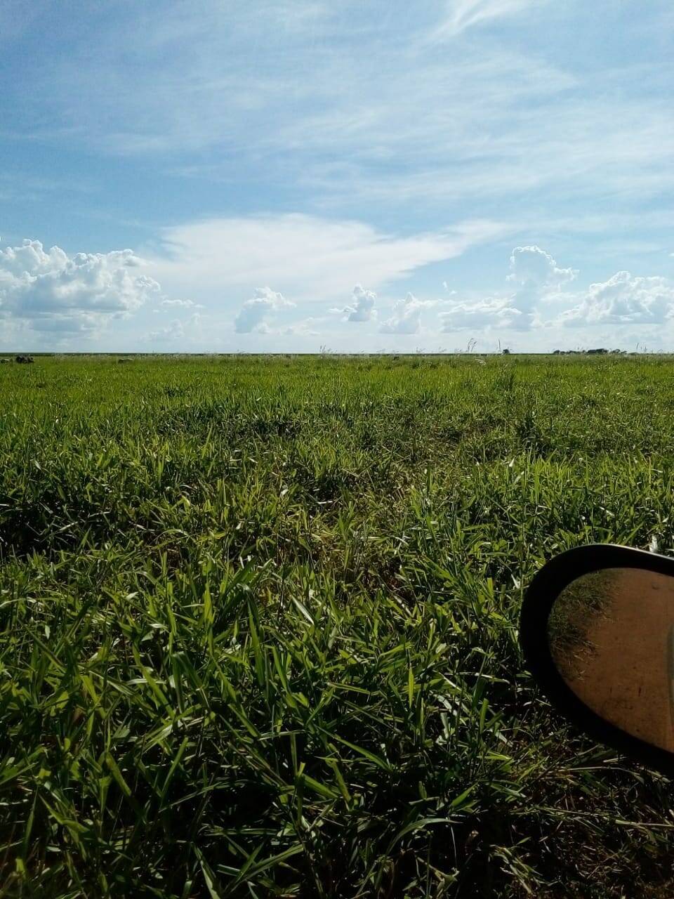 Fazenda em Arantina-GO 4