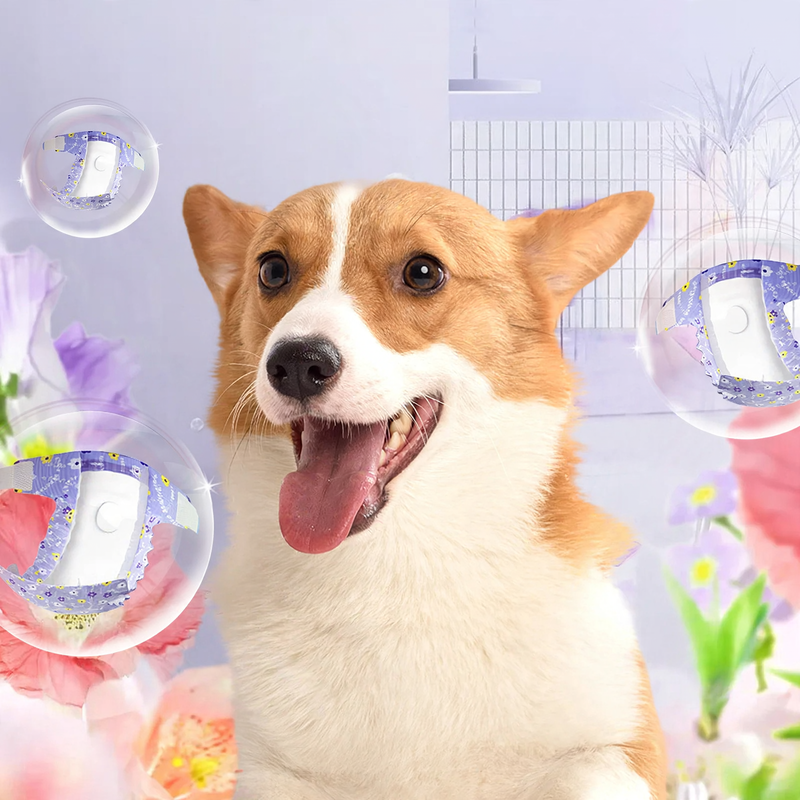 Dog diapers made of cellulose, multiple sizes