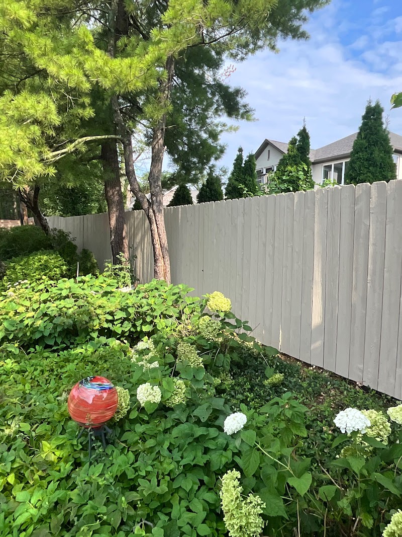 Roundtree HOA border fence after solid color staining, beside a planting bed of hydrangeas, Indianapolis