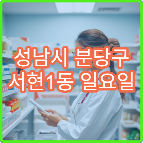 성남시 분당구 서현1동 일요일 약국 서현역 인근 약국 안내