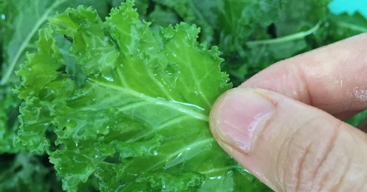 Thí nghiệm cùng cải xoăn: kale salad và kale chip