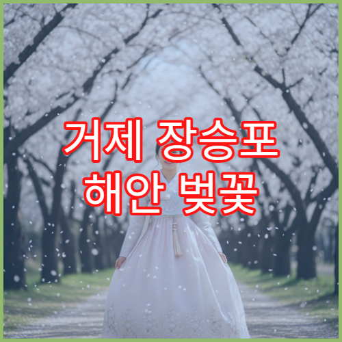 거제 장승포 해안 벚꽃 사진 황금 시간대 드론 촬영 허용 팁 공유