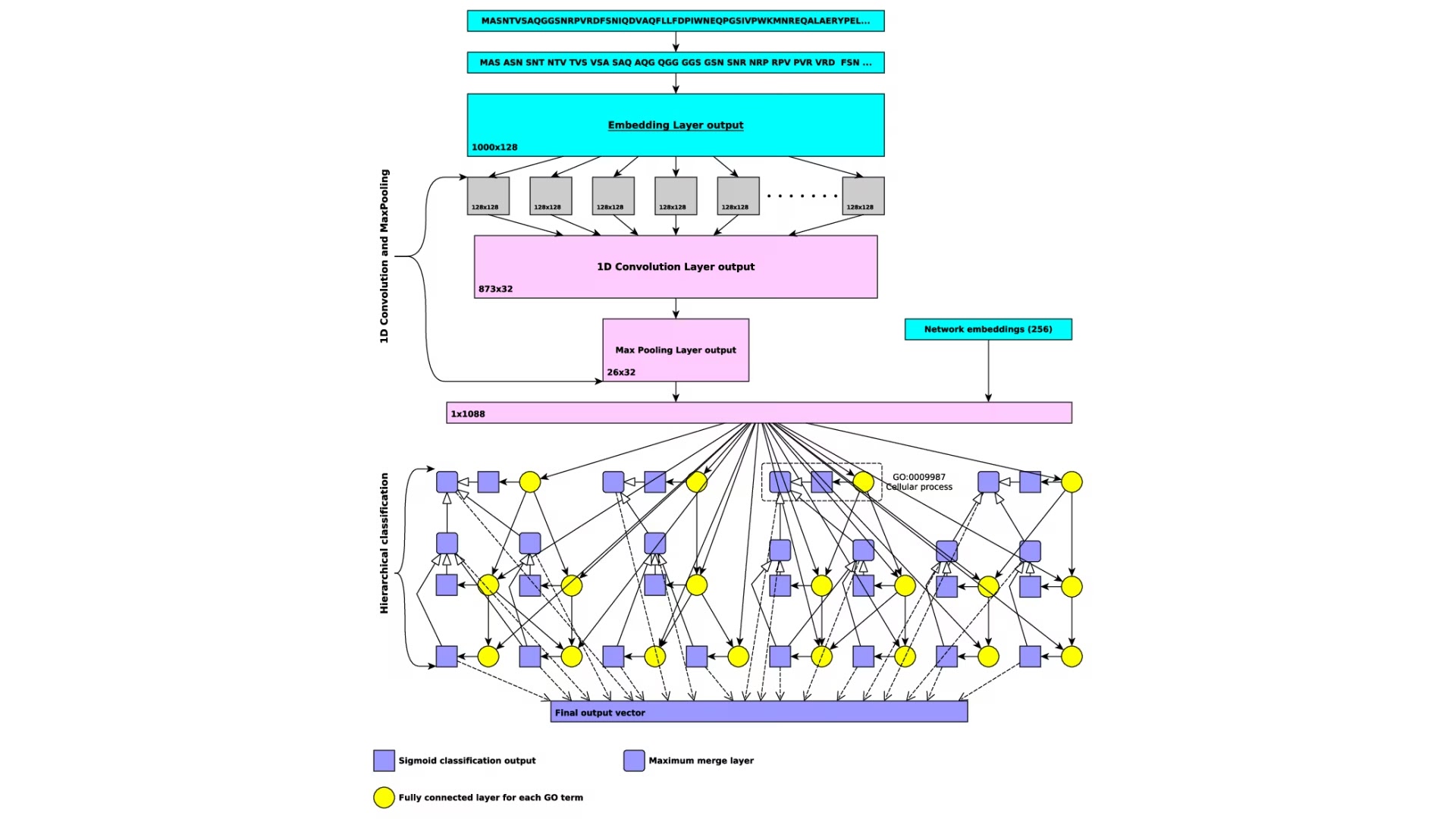 KAUST CEMSE BORG Prediction Functions Phenotypes