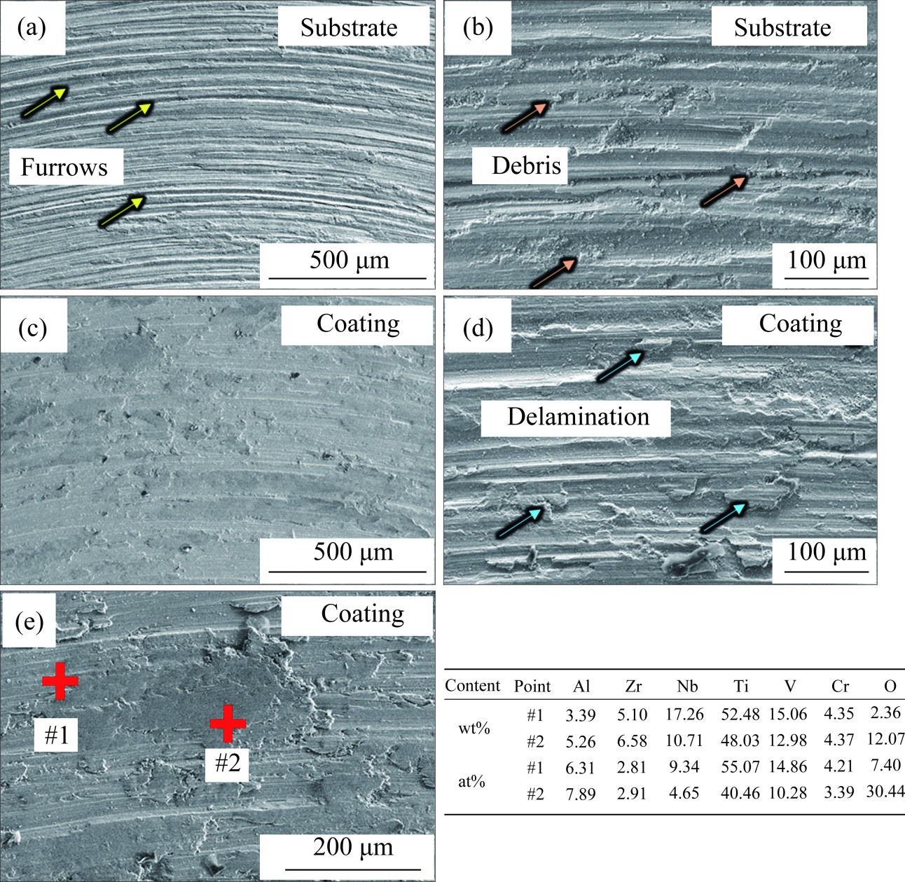 Friction and corrosion behavior of laser cladding Ti50Nb15V15Zr5Cr5Al10 high-entropy alloy