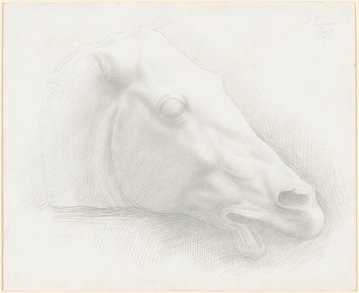 Head of a Horse from the Parthenon 1898