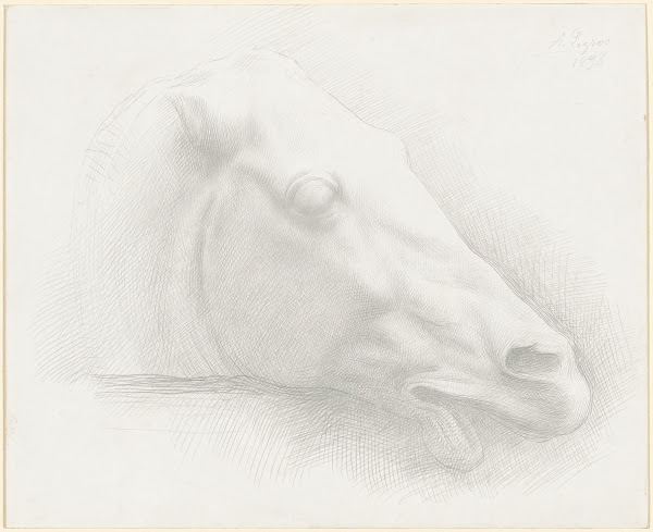 Head of a Horse from the Parthenon 1898
