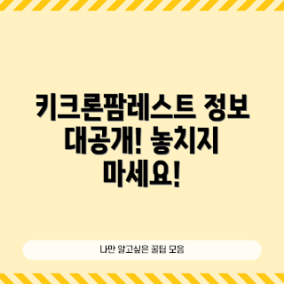 키크론팜레스트 정보, 키크론 정보, 키크론 리뷰, 키보드 사용법, 게이밍 기어