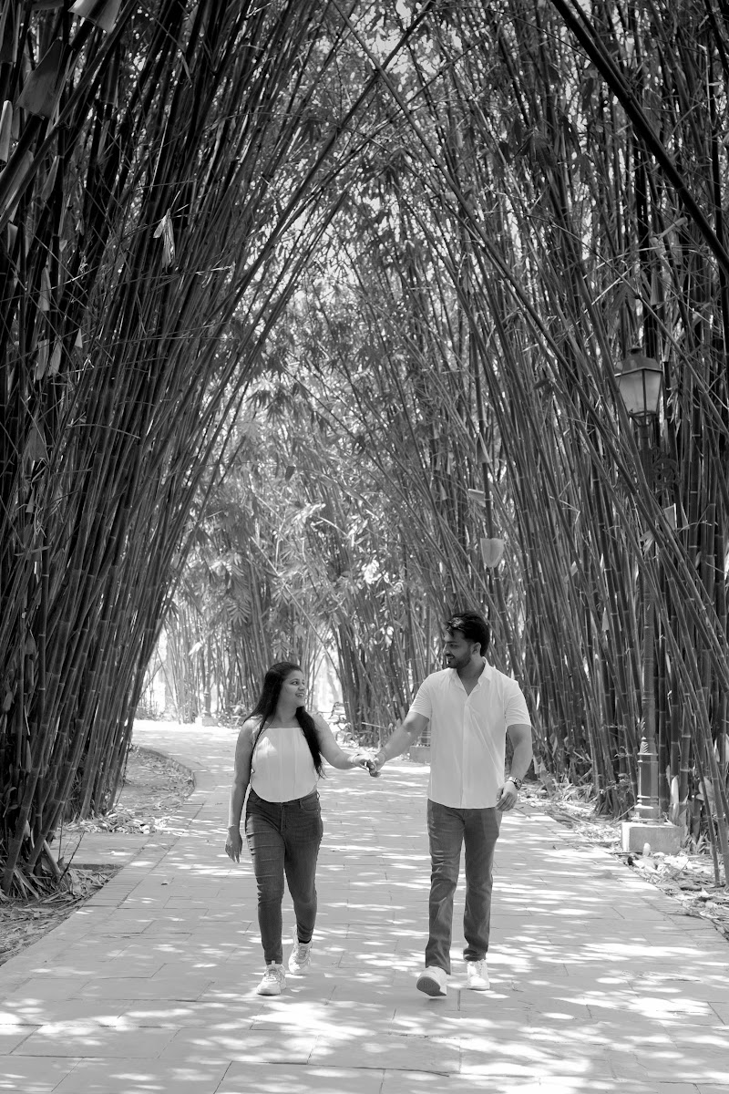 Anchal × Abishek — frame 36