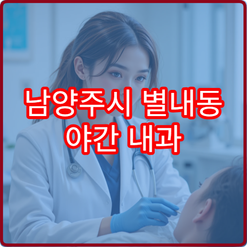 남양주시 별내동 야간 내과 소화불량 속쓰림 진료 병원 정보