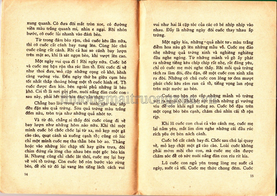 Truyện tranh : Ô Long viện (Tập 1 - 2008) - Trang 8