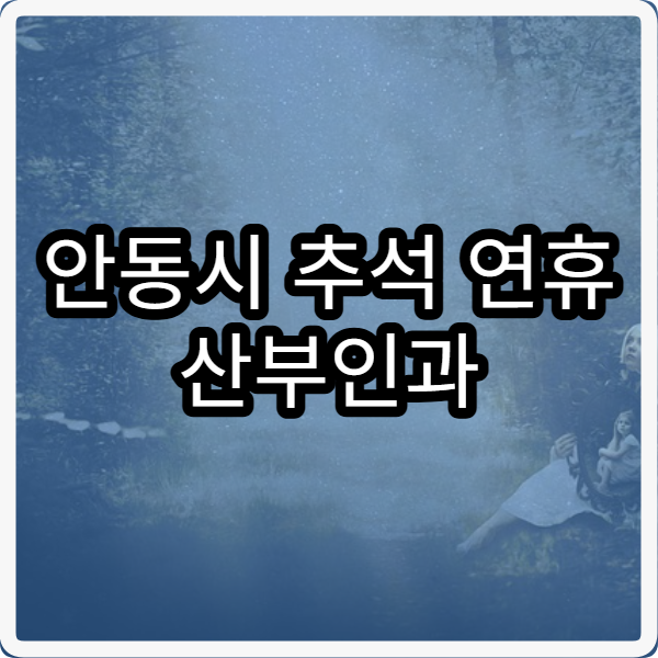 안동시 추석 연휴 산부인과 응급·진료 병원 한눈에 보기