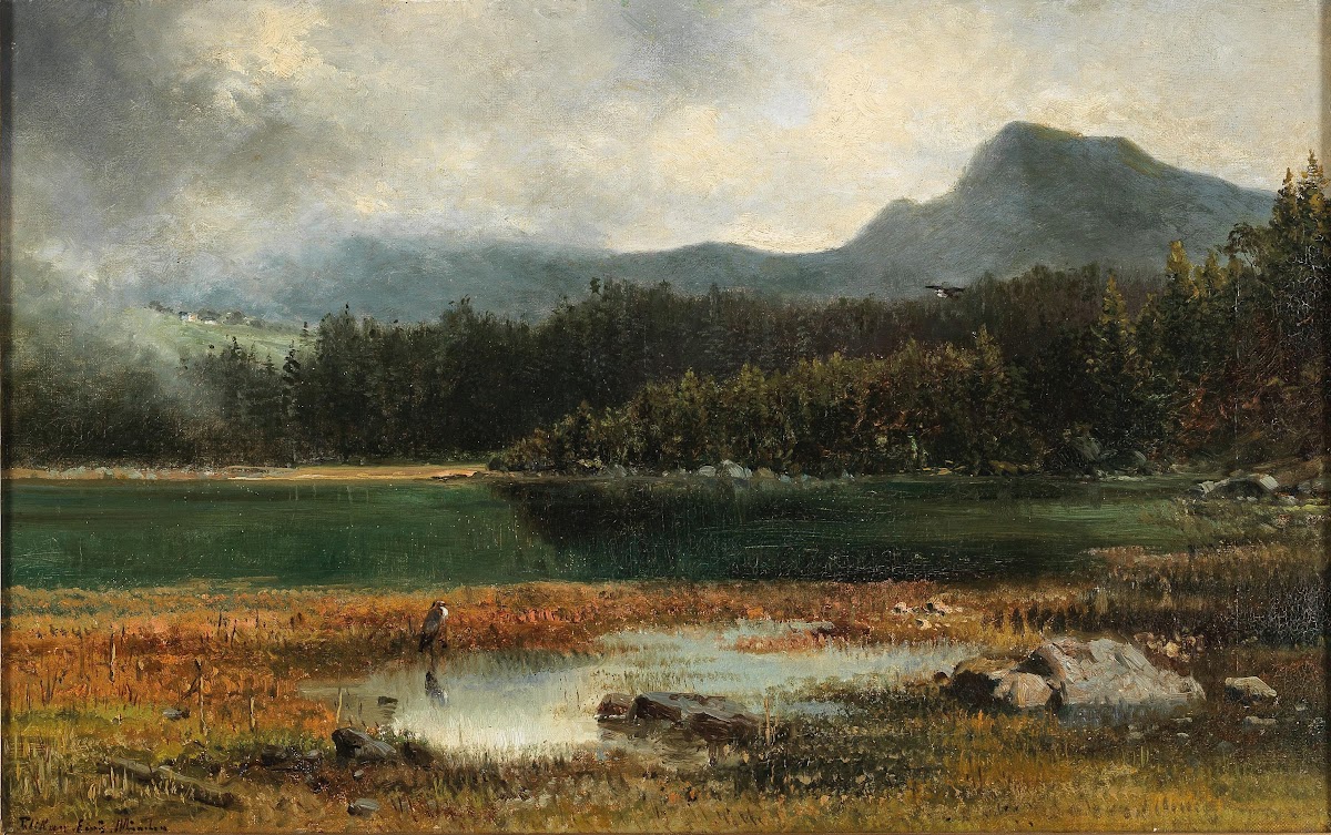 Fischreiher am Bergsee