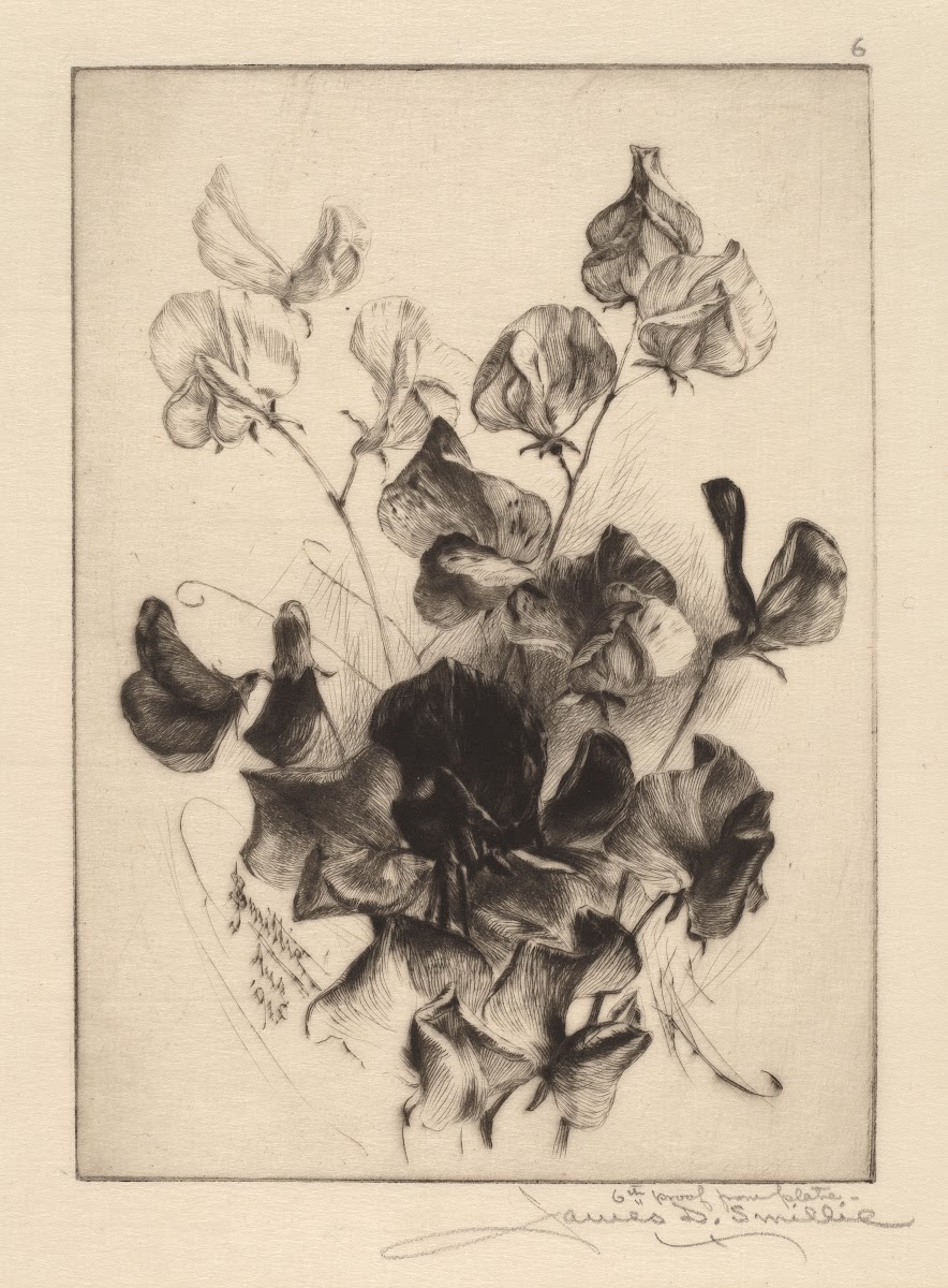 Sweet Peas 1891