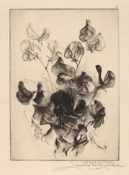 Sweet Peas 1891