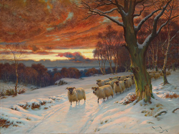 A winter evening