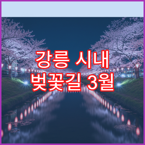 강릉 시내 벚꽃길 3월 25일 주차장 숨은 위치와 팁