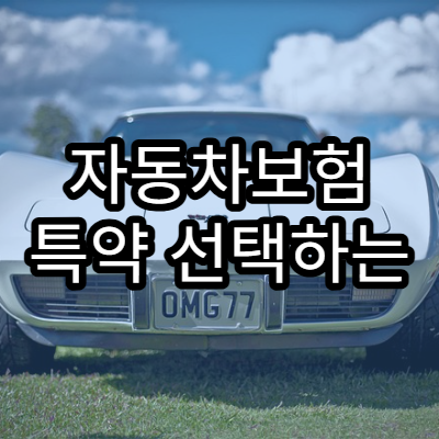 자동차보험 특약 선택하는 법