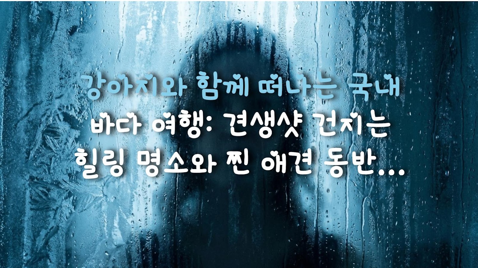 강아지와 함께 떠나는 국내 바다 여행: 견생샷 건지는 힐링 명소와 찐 애견 동반 카페 추천