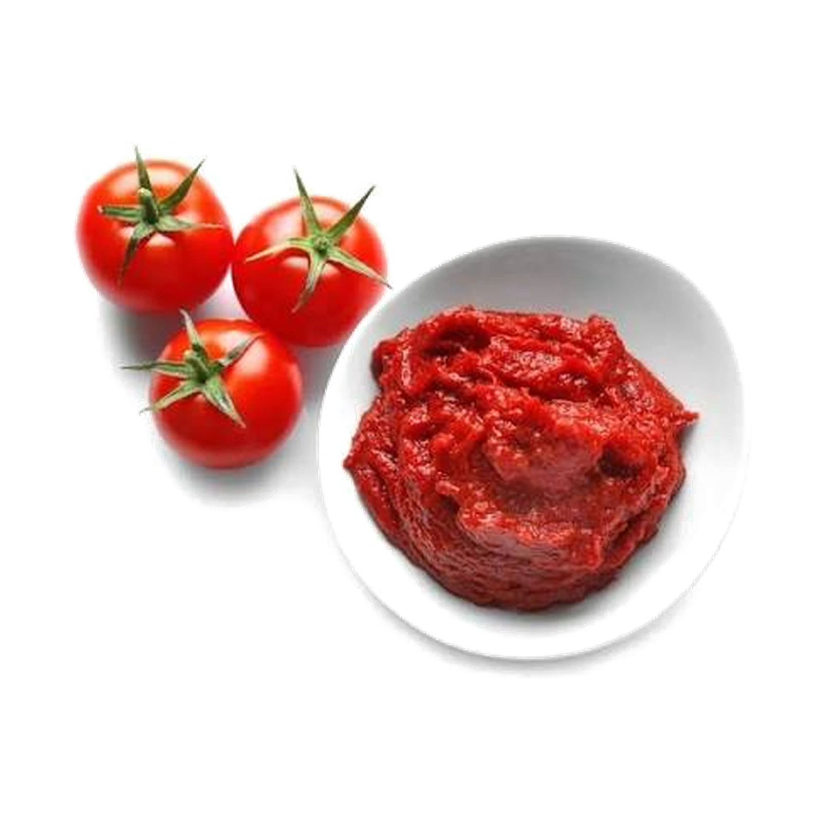 Pasta od paradajza