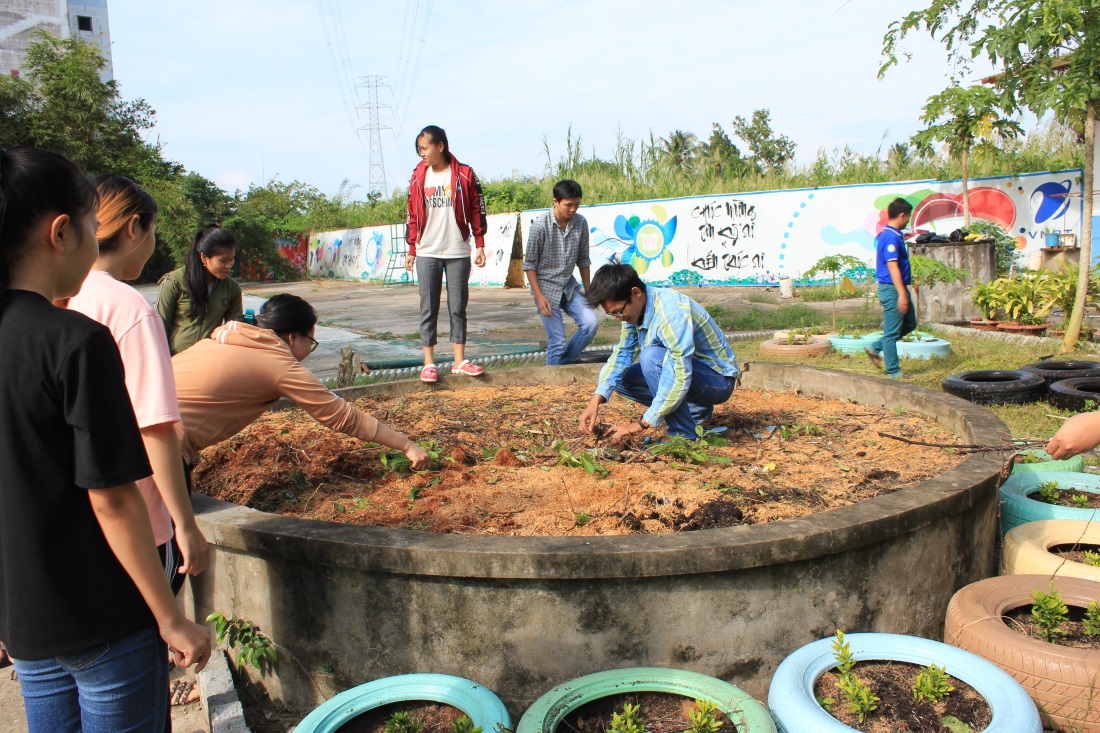 Các bạn đang làm sạch cho khu vực trồng cây