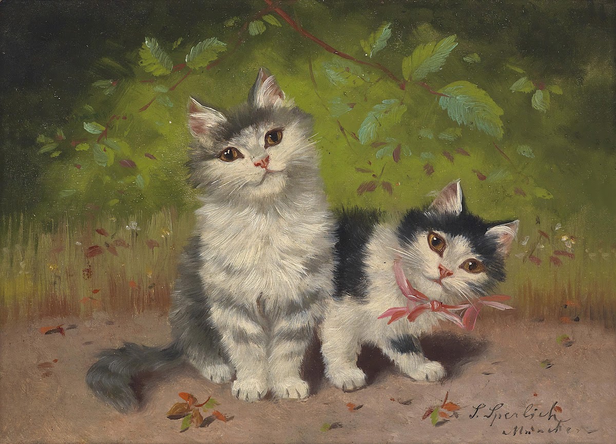 Two kittens
