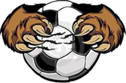 Gundaroo Bullocks logo