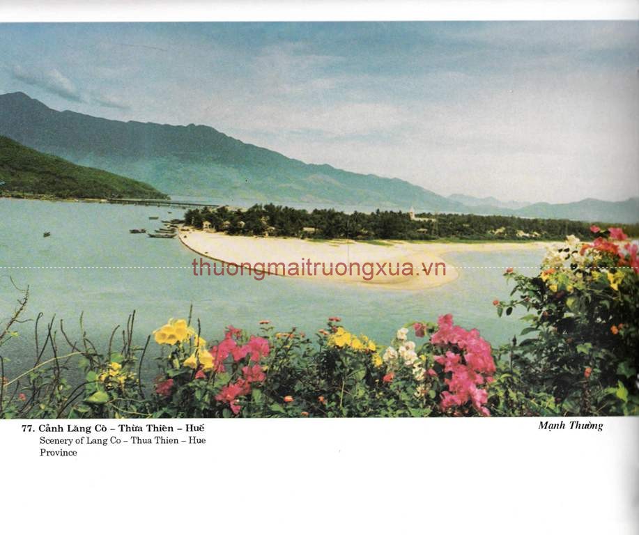 Tập san : Mực tím (số 65 - 1992) - Trang 84