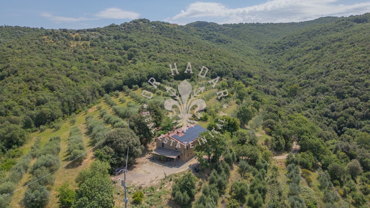 האלה המודרנית — 4