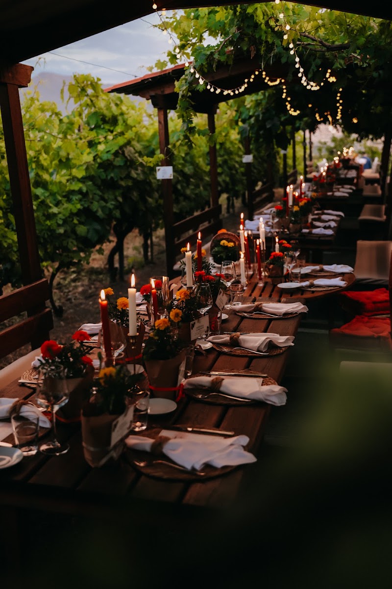 Vine pergola dinner with string lights at twilight, Tenuta Sorrentino