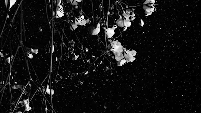 Black And White Infinity Flow Full HD iPhone Desktop & Mobile Wallpaper Background