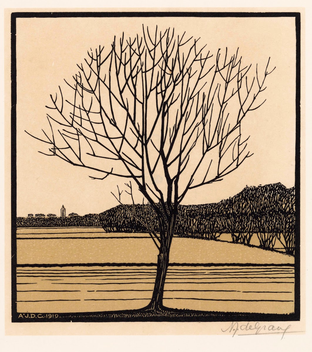 Kale boom 1919