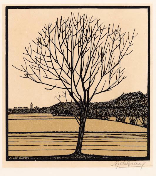 Kale boom 1919