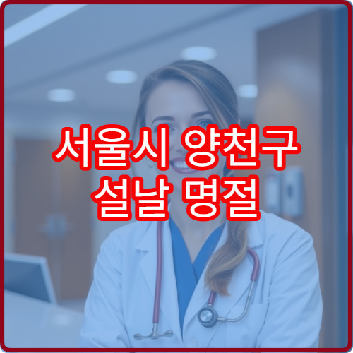 서울시 양천구 설날 명절 이비인후과 연휴 진료 병원 코막힘·인후염·알레르기 상담 가능​