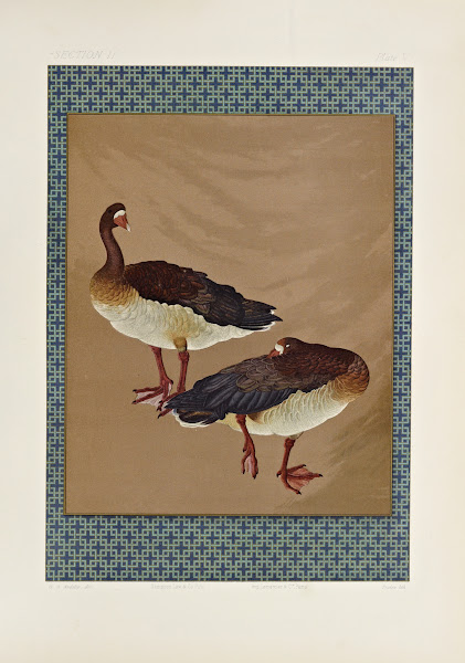 The ornamental arts of Japan Pl027 1882