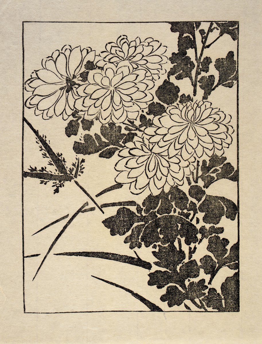 Ipswich Prints Chrysanthemum 1986