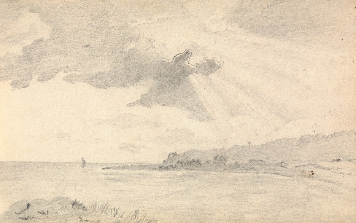 Sunlight on a Shoreline