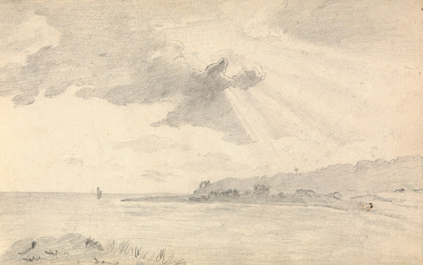 Sunlight on a Shoreline