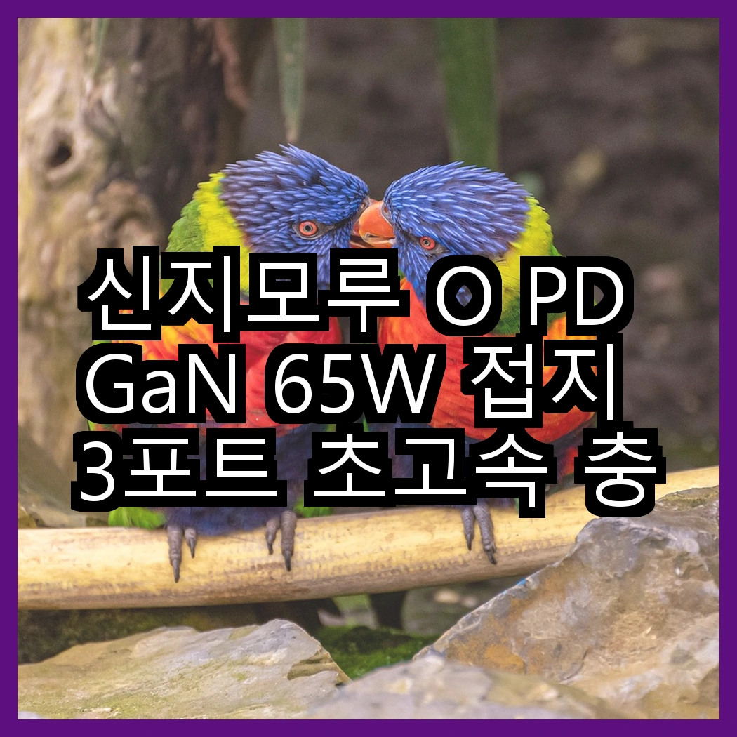 신지모루 O PD GaN 65W 접지 3포트 초고속 충전기 vs 모잇 애플워치 호환 무선 충전기, 어떤 선택이 더 현명할까? 썸네일