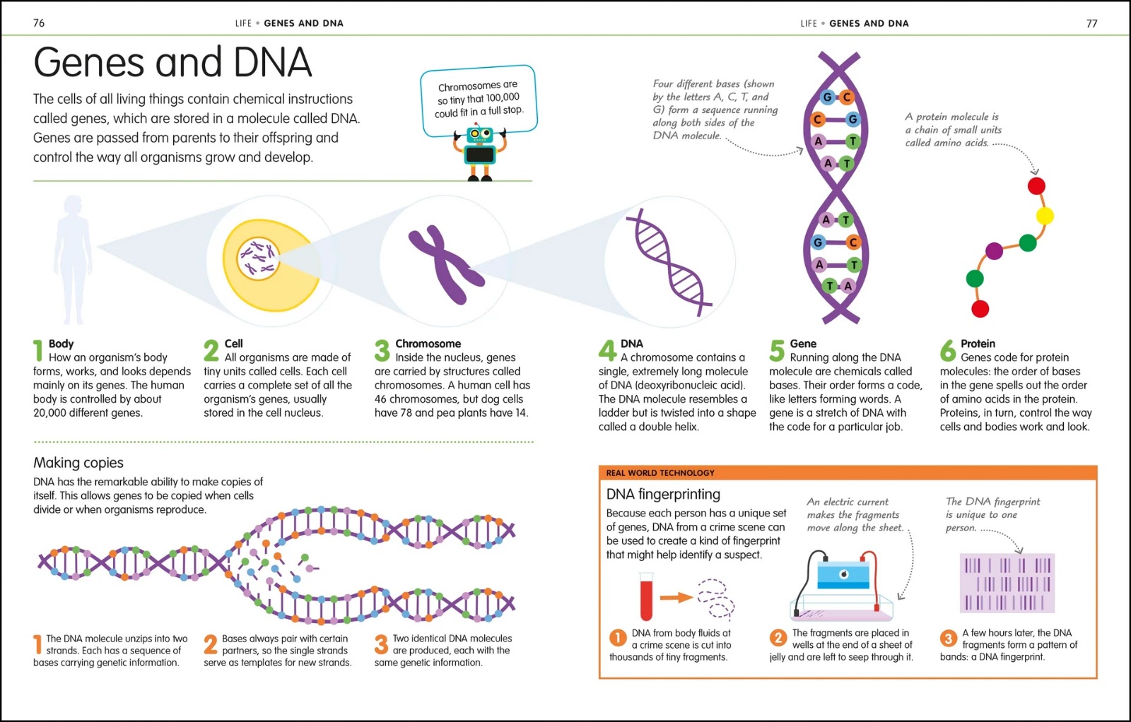 How to Be Good at Science, Technology, and Engineering — gambar 3