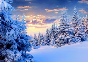 Winter Nature Wallpaper