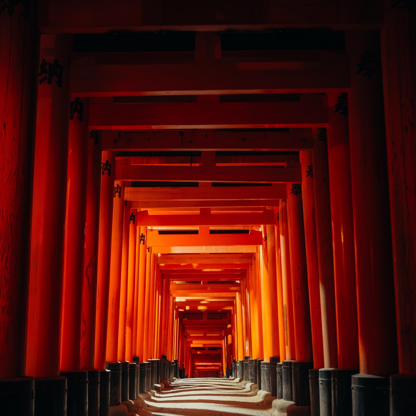 Download Fushimi Inari Shrine Torii Gates 4K iPhone