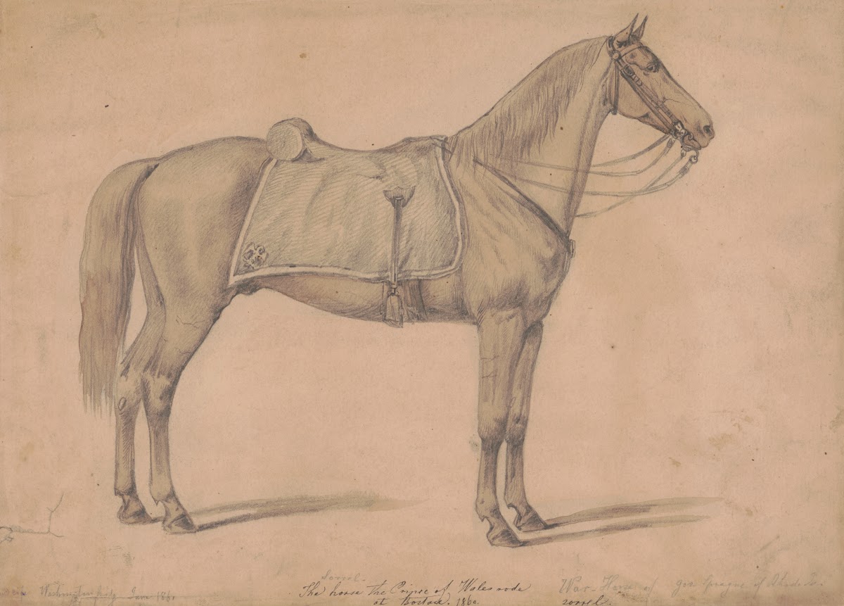 The sorrel horse the Prince of Wales rode at Boston 1860