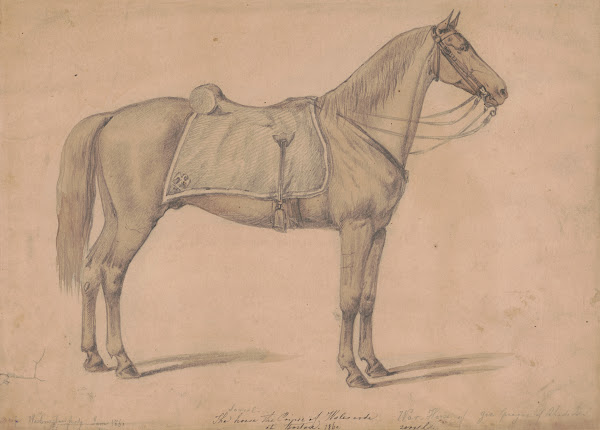 The sorrel horse the Prince of Wales rode at Boston 1860