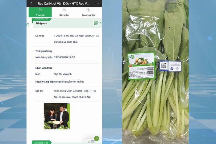 Truy xuất nguồn gốc tại vùng sản xuất rau - Đài Phát thanh và truyền hình Hà Nội