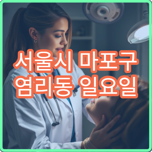 서울시 마포구 염리동 일요일 치과 잇몸통증 진료