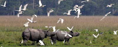 217|MEGHALAYA WITH KAZIRANGA 6N/7D