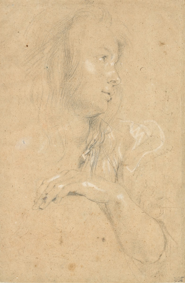 Young Woman in Profile c 1613