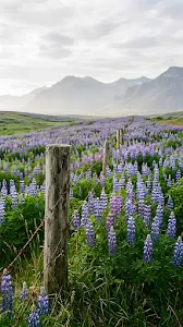 Aerial Turquoise Coastline with White Sandy Beach