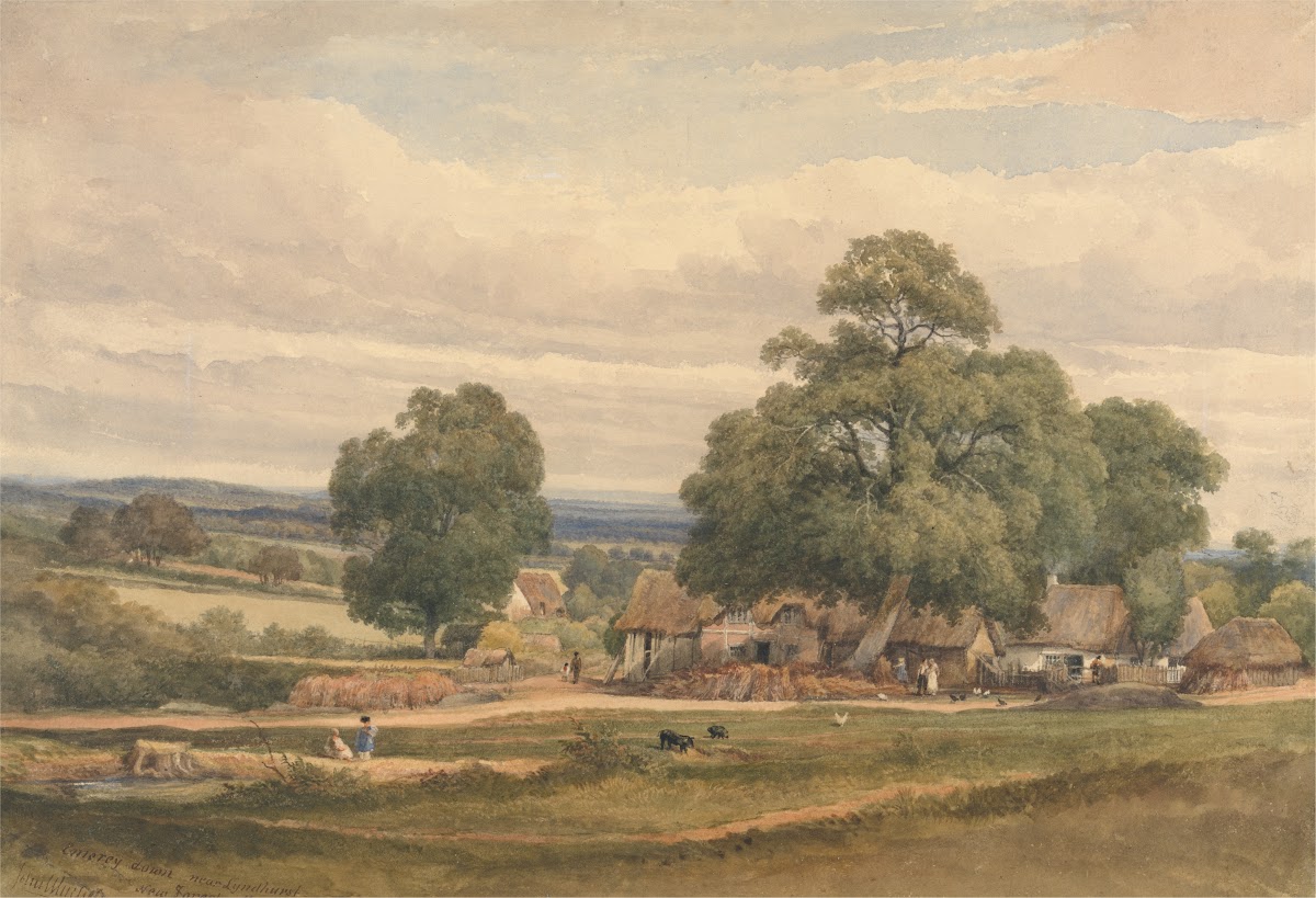 Emerey Down near Lyndhurst New Forest Hants